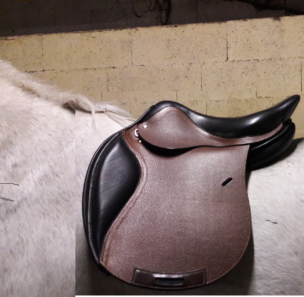 selle-en-cuir-sur-mesure-sellerie-waneta-premeaux-prissey