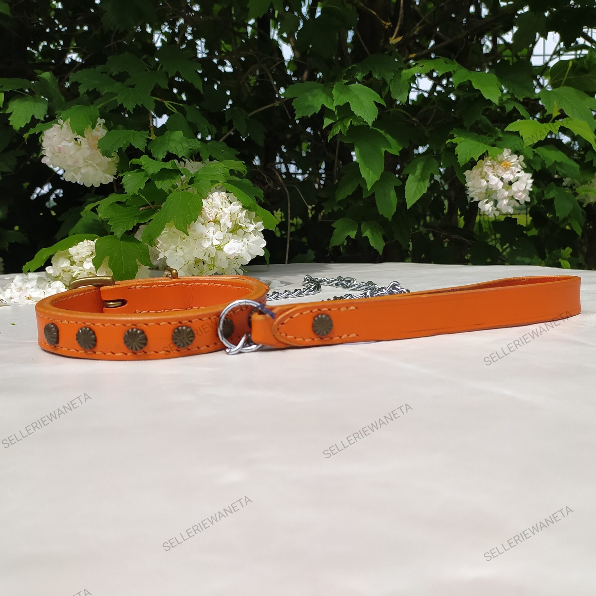 ensemble-collier-et-laisse-pour-chien-en-cuir-orange-sellerie-waneta-premeaux-prissey