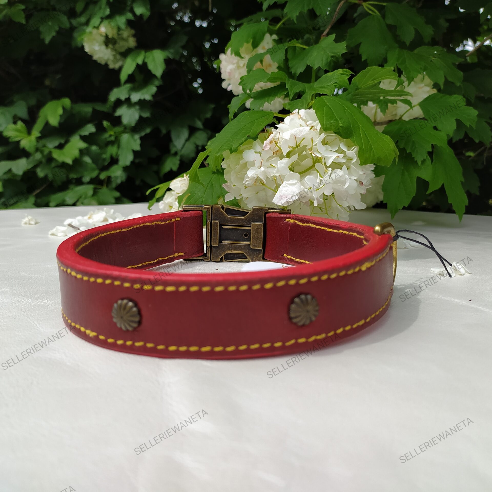 collier-en-cuir-pour-chien-sellerie-waneta-premeaux-prissey
