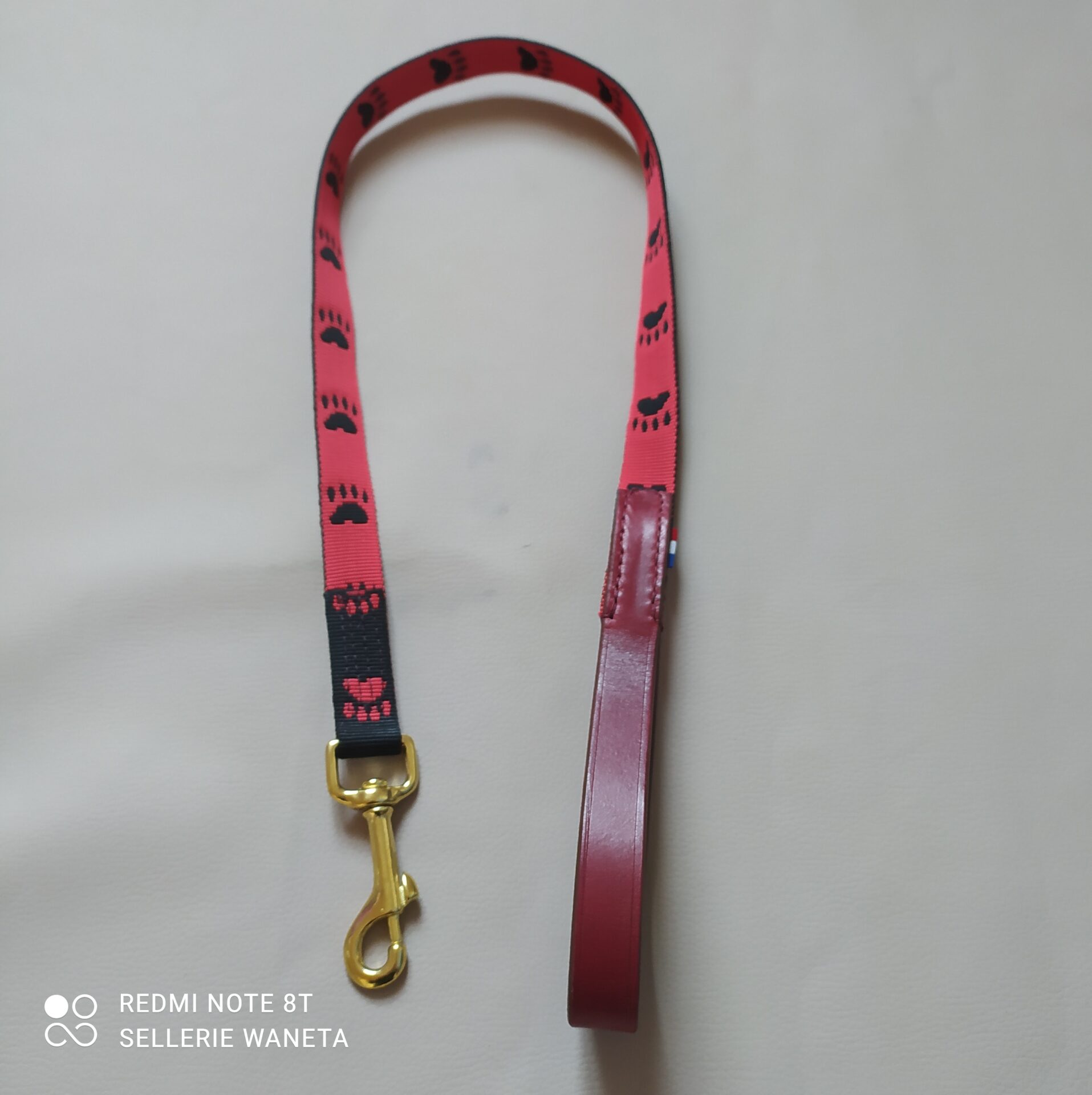 laisse-pour-chien-en-cuir-et-nylon-sellerie-waneta-premeaux-prissey