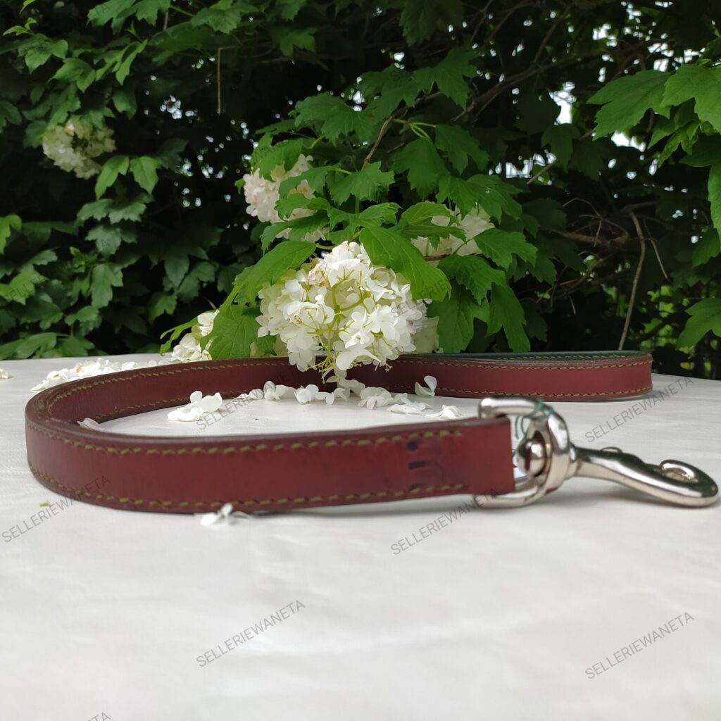 laisse-en-cuir-pour-chiens-sellerie-waneta-premeaux-prissey